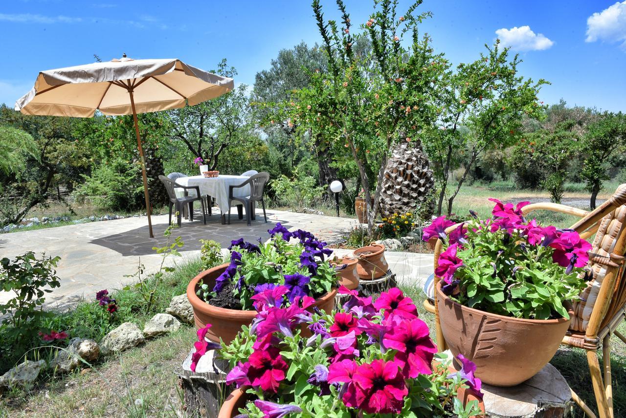 Nature Villa Gerakini Dış mekan fotoğraf